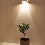 Blanco Mykonos Mykonos Town