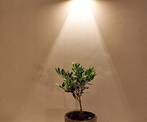 Blanco Mykonos Mykonos Town